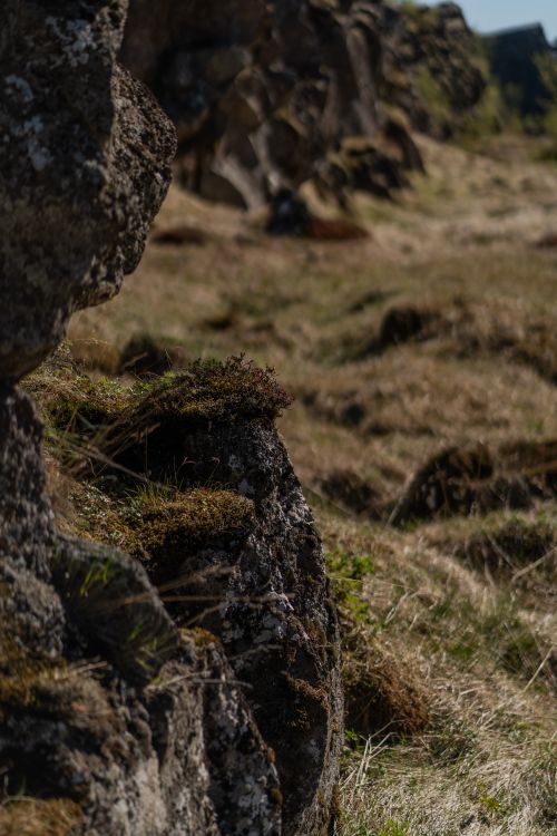 Free A summer landscape featuring rocky terrain and sunlit grass, perfect for nature-themed projects. Stock Photo