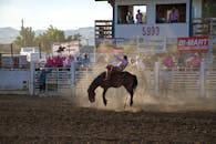 在热闹的户外环境中，充满活力的牛仔竞技场景捕捉了一名牛仔熟练地骑着一匹颠簸的马