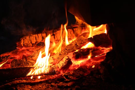 Free stock photo of firewood, fire, hot, campfire