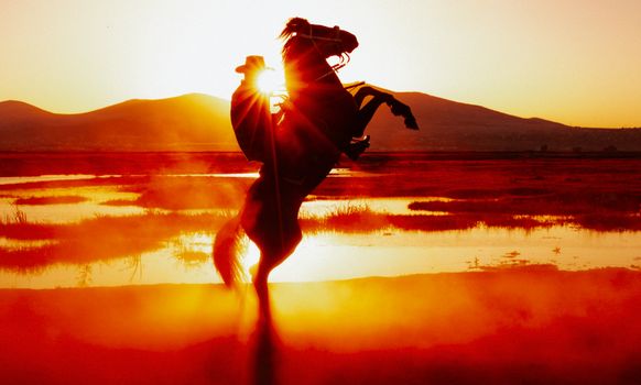 Dramatic silhouette of a horseback rider rearing a horse at sunset in Kayseri, Türkiye.