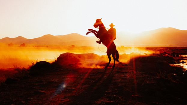 A cowboy on a rearing horse against a stunning sunset in rural Kayseri, Türkiye.