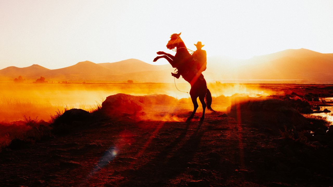 a cowboy on a rearing horse against a stunning sunset in rural kayseri