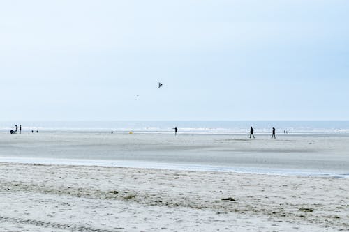Gratis lagerfoto af beachlovers, beachside, bølge