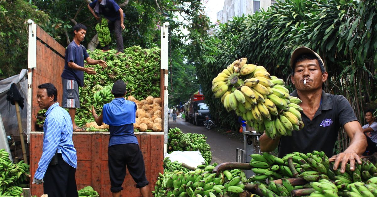 The 8 most decisive trade wars in modern history and their influence on supply chains The 8 most decisive trade wars in modern history and their influence on supply chains
