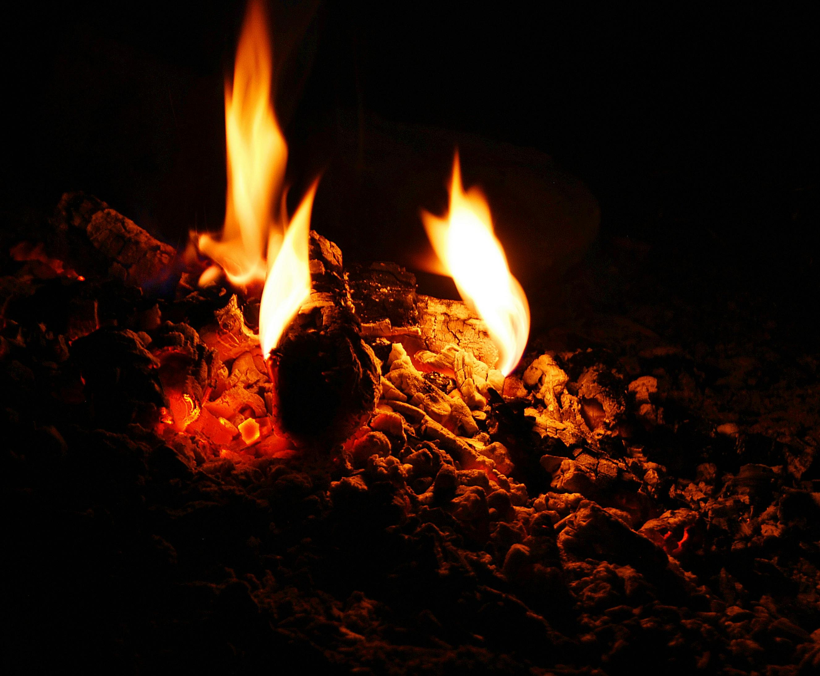 Foto stok gratis tentang api  api  unggun  dibakar
