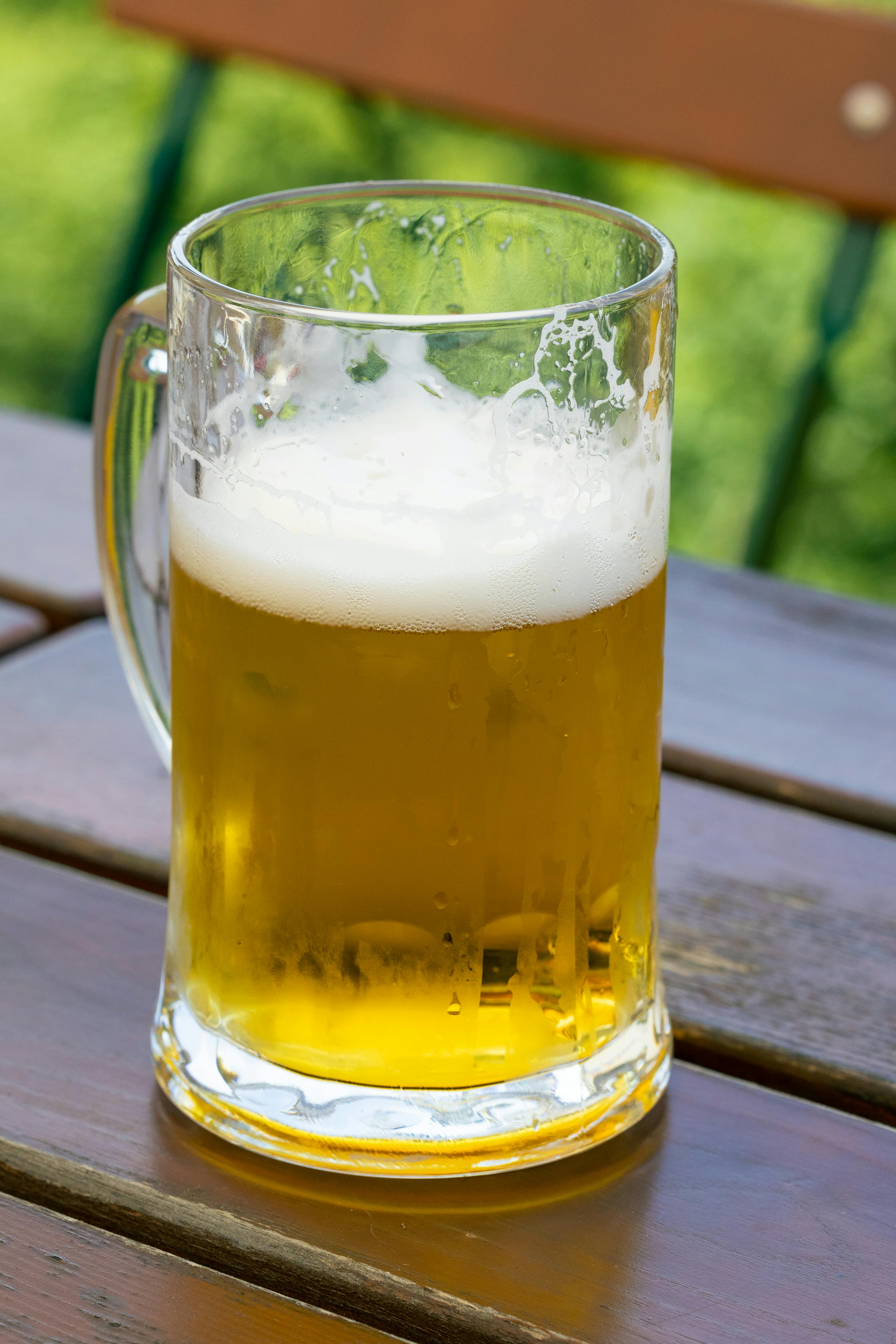 免費 @戶外, 享受, 休閒 的 免費圖庫相片 圖庫相片