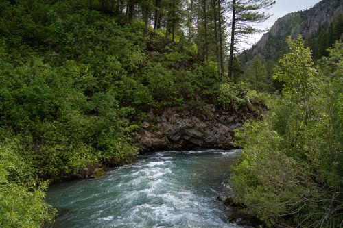 Free Scenic view of a river bend surrounded by lush greenery and mountains in Irwin, Idaho. Stock Photo