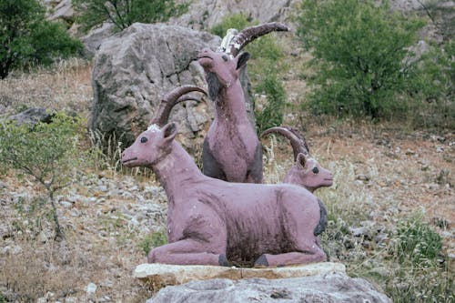 Kostenloses Stock Foto zu bergziege, statue