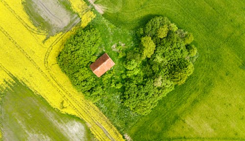 Základová fotografie zdarma na téma abstraktní, barva, barvy