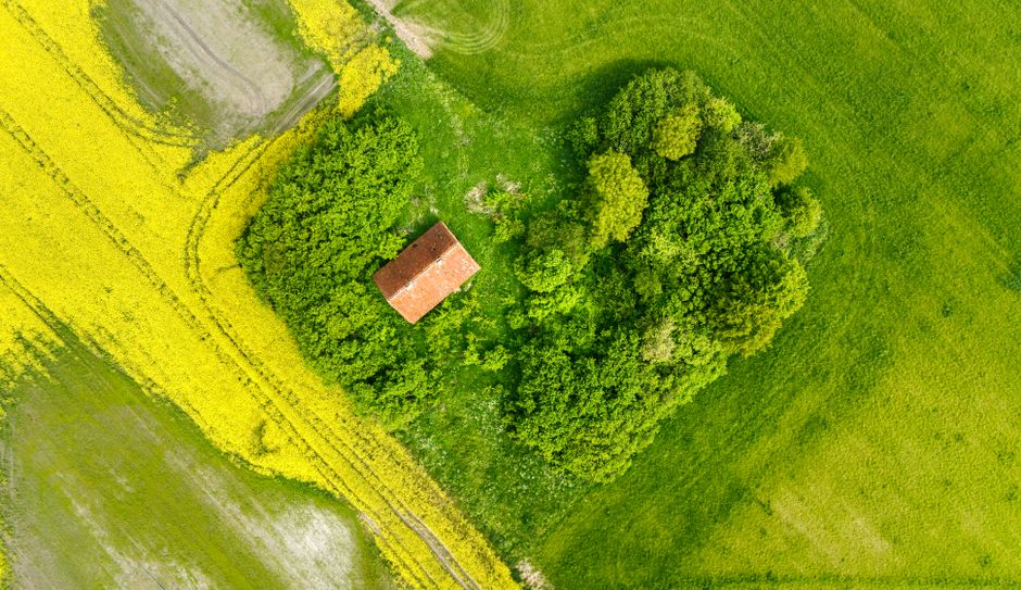 Aerial photo of an old house surrounded by lush green fields and farmland, showcasing nature's beauty.