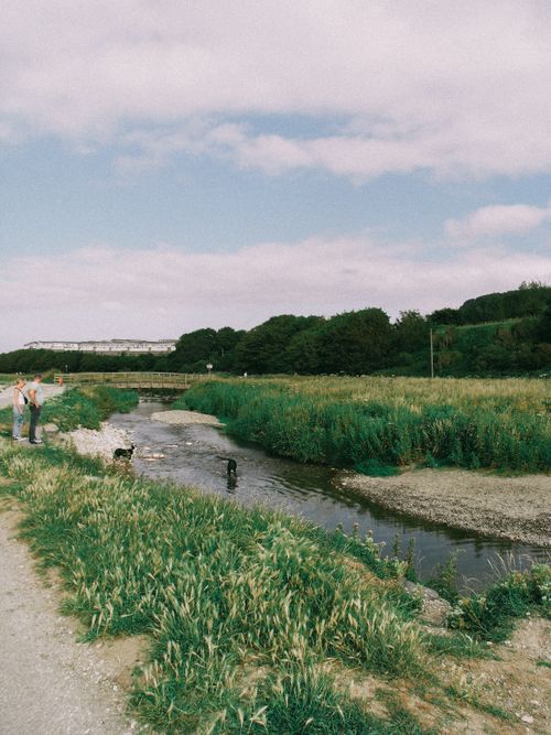 Free Peaceful summer day at a rural footbridge with people and dogs by the scenic river. Stock Photo
