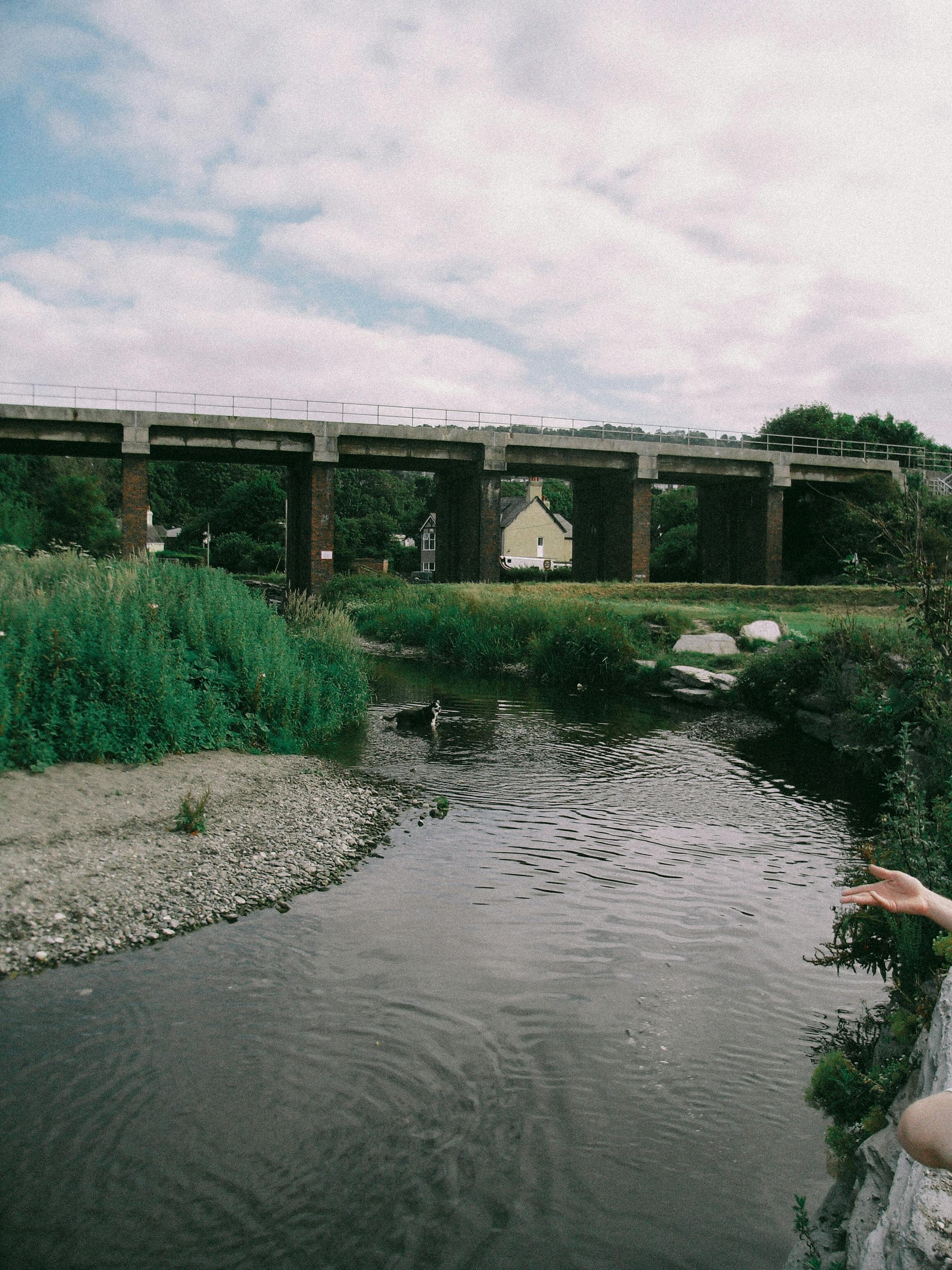 A tranquil scene of a river under a bridge, framed by natural greenery, and a hand visible in the foreground.