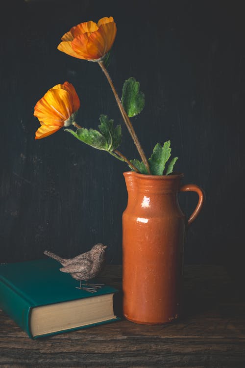 Gratis stockfoto met bloemen, boek, klassiek
