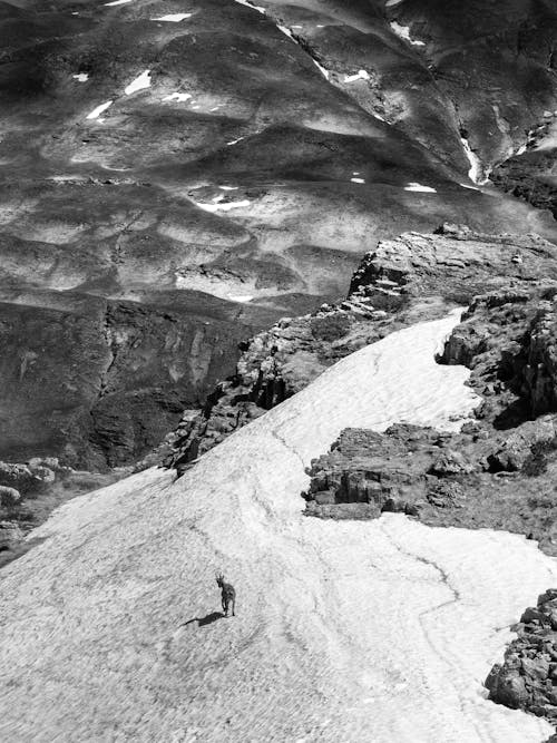 A black and white photo of a person walking on a snow covered mountain