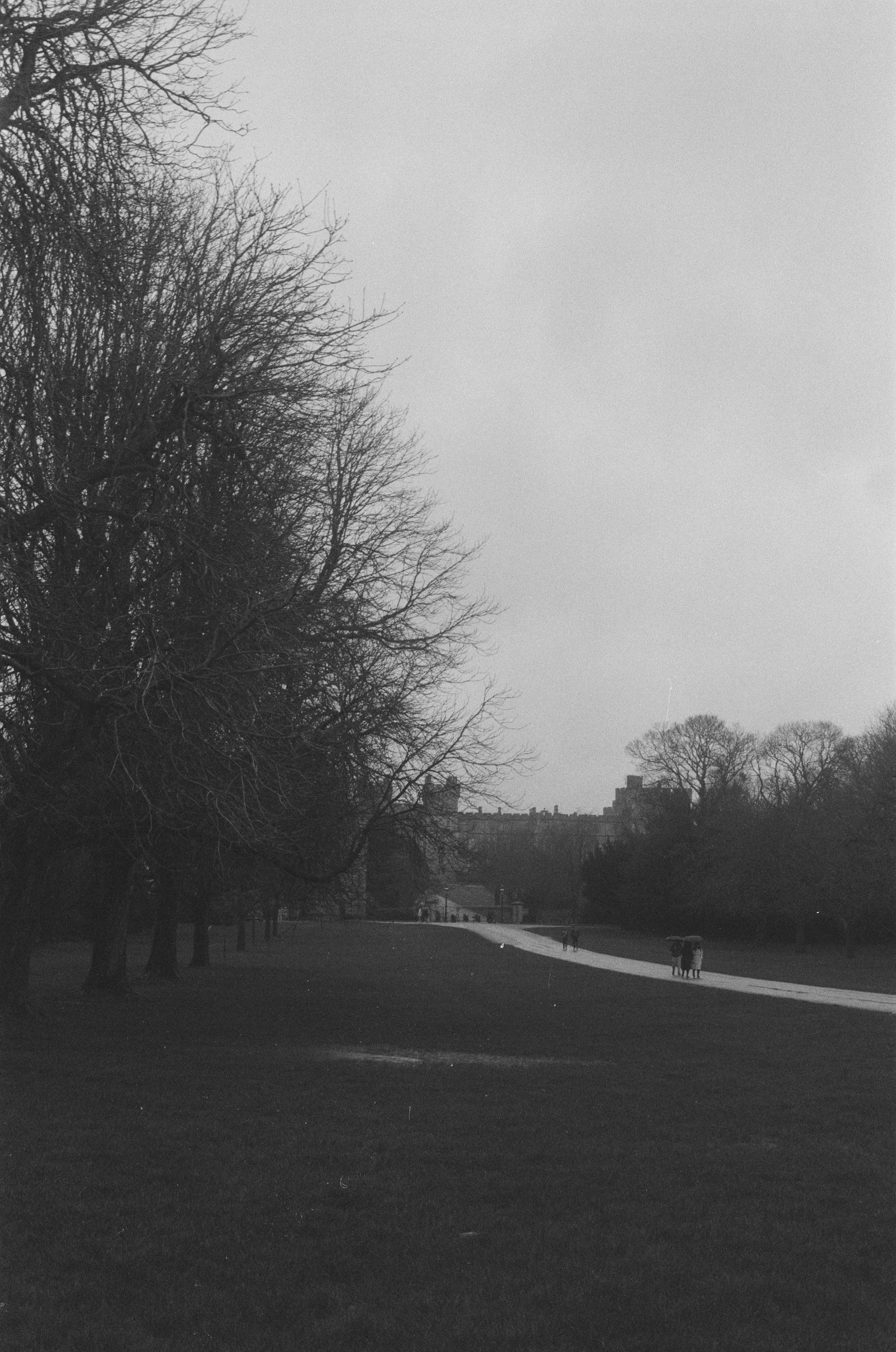 A tranquil black and white scene of a pathway through Windsor Park on a cloudy day.