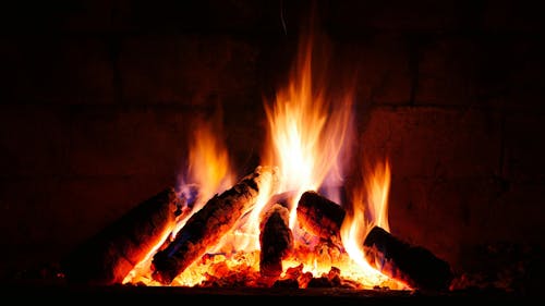 Free Burning Firewoods Stock Photo