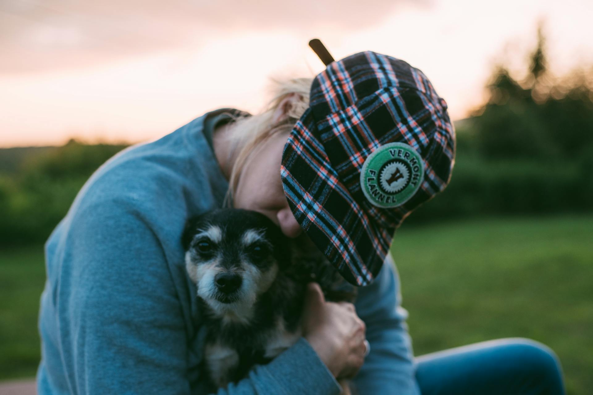 Shallow Focus Photo of Person Kissing a Dog