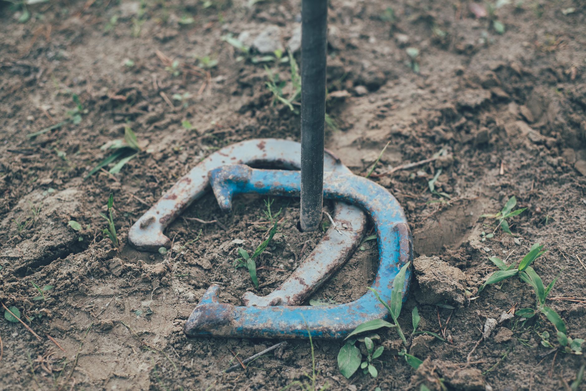 Best Horseshoe Sets (2026)