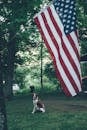 一只狗坐在绿树成荫的公园里，头顶上悬挂着美国国旗