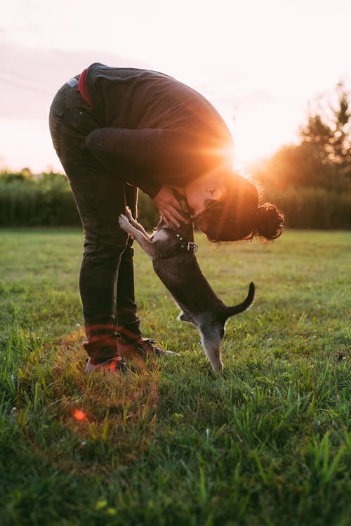 Free Photo of Person Kissing a Dog on Grass Field Stock Photo