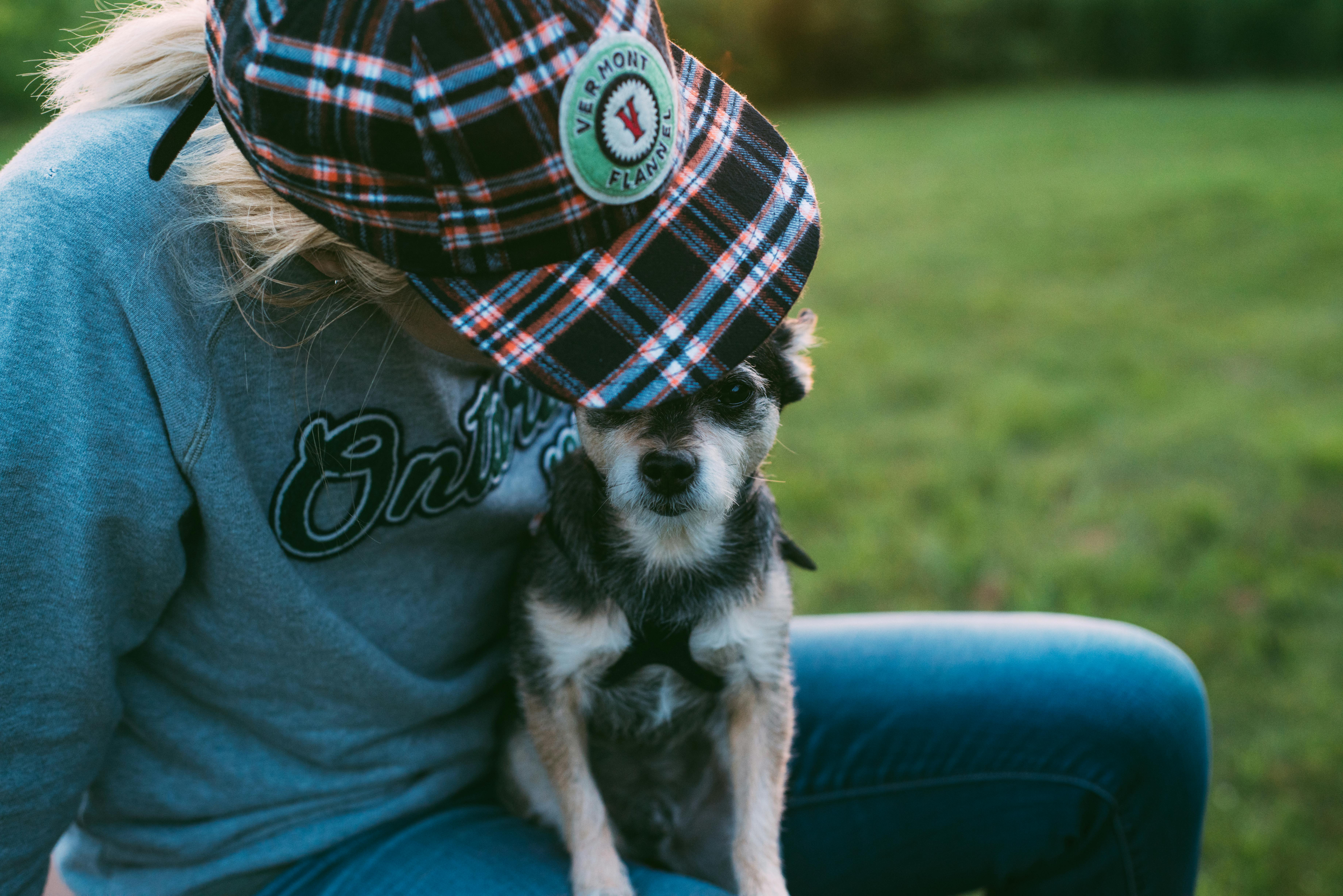 戴着格子帽的人和小狗坐在草地上，瞬间的爱意被捕捉到了