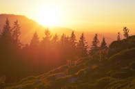 山地上，日落充满活力，树木的轮廓与温暖的橙色色调相映成趣