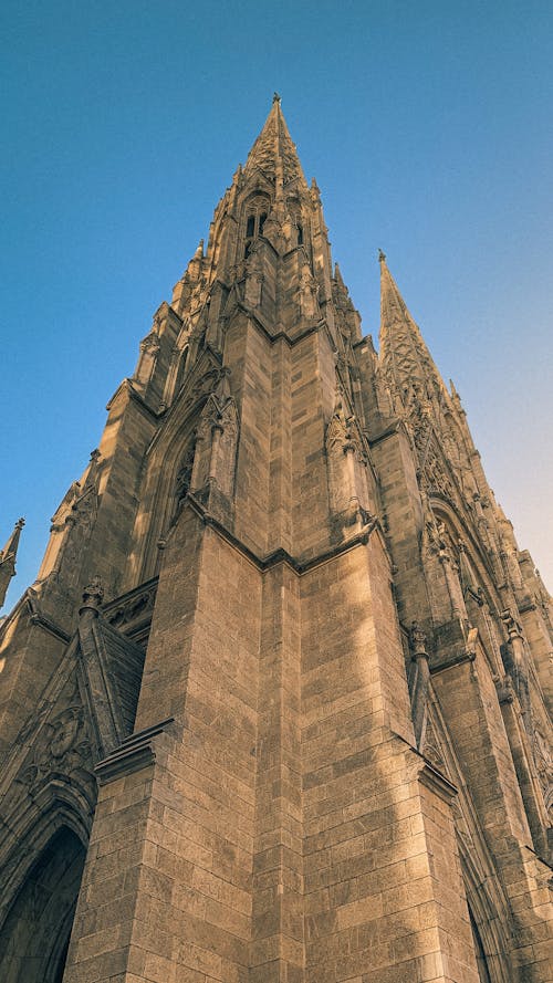 Бесплатное стоковое фото с архитектура, базилика, башня