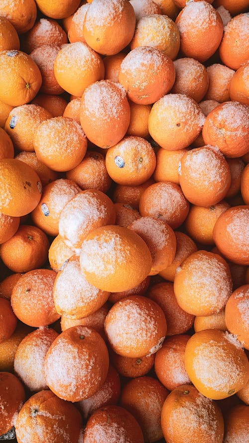 คลังภาพถ่ายฟรี ของ hortifruti, ผลไม้รสเปรี้ยว, ส้ม