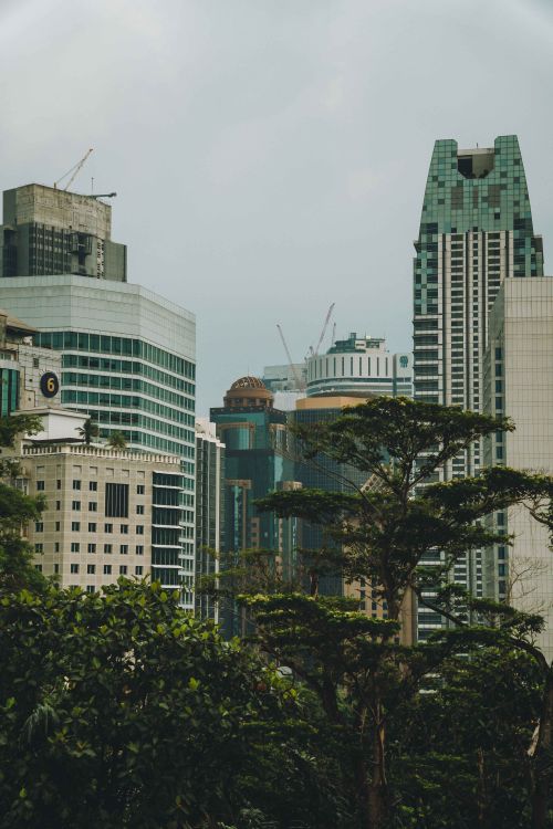 Free Discover the blend of nature and architecture in Kuala Lumpur's skyline. Stock Photo