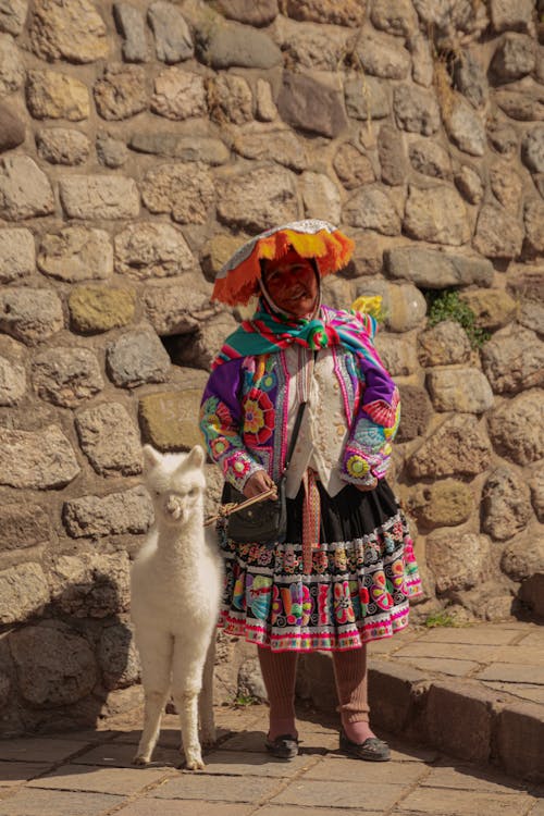 Fotobanka s bezplatnými fotkami na tému Južná Amerika, lama, Peru