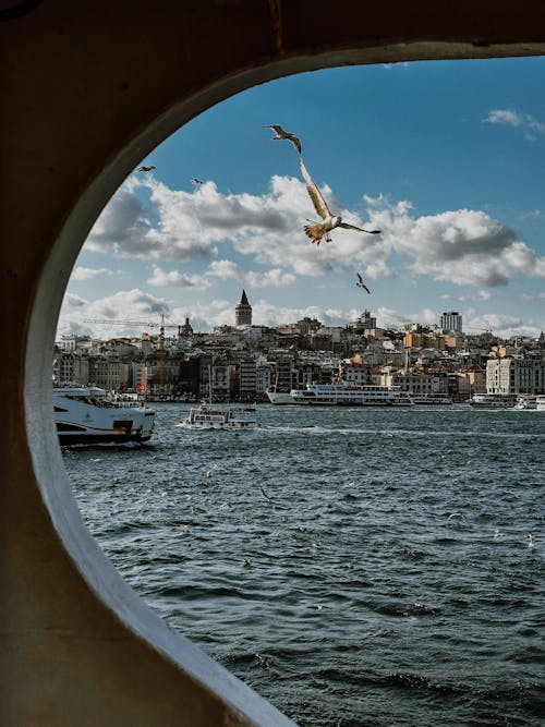 A view of the city from a window