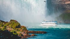 在雾中少女号渡轮上，可以欣赏到尼亚加拉大瀑布的景色，以及郁郁葱葱的绿色植物和鸟类