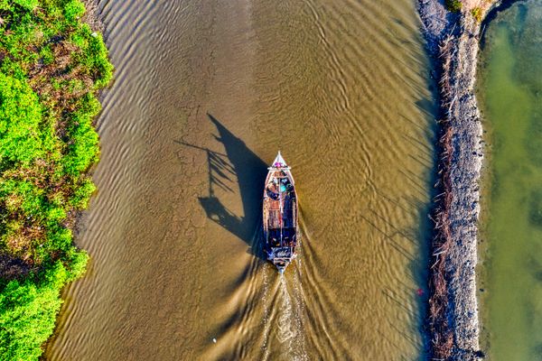 Sundarbans mangrove forest