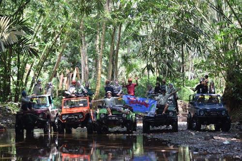 Photos gratuites de aventure, événement de voiture, nature