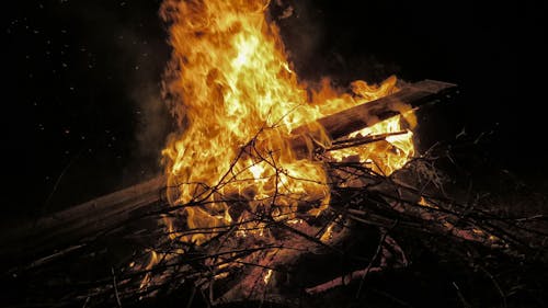 Free Burning Twigs and Wood Plank Stock Photo