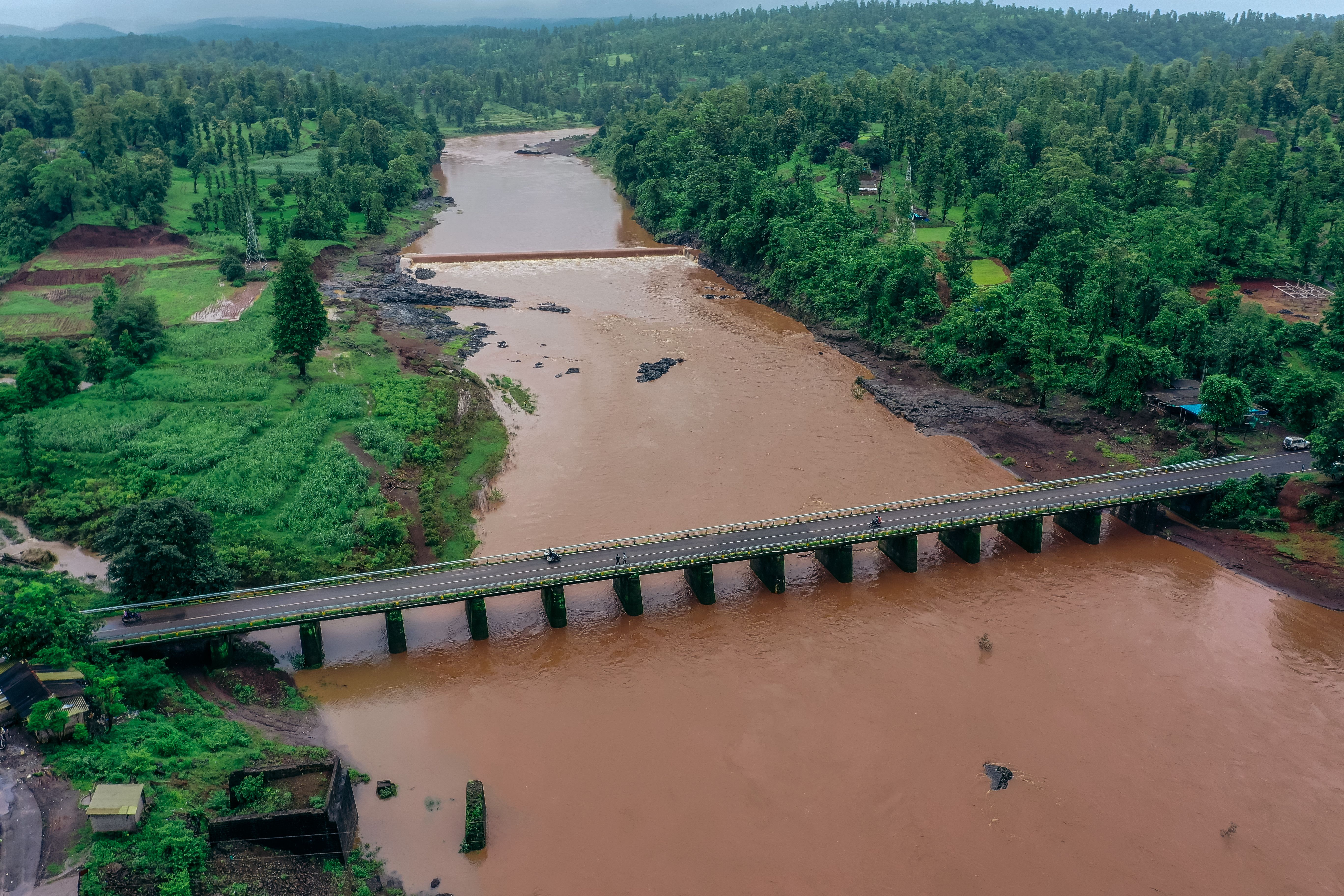 Bridge on River in Forest · Free Stock Photo