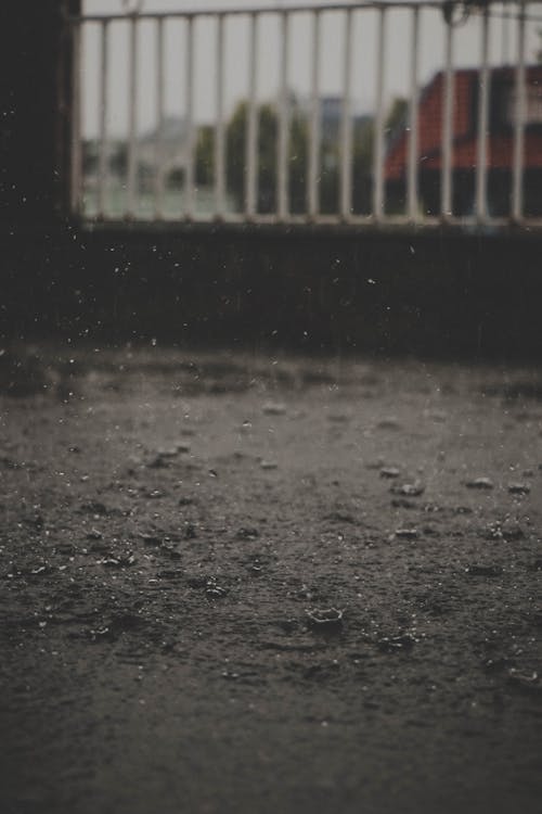 Foto d'estoc gratuïta de aigua, bassal, gotes de pluja