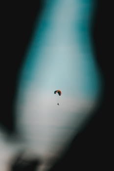 滑翔伞高高翱翔，在极其模糊的天空映衬下，带着充满活力的树冠