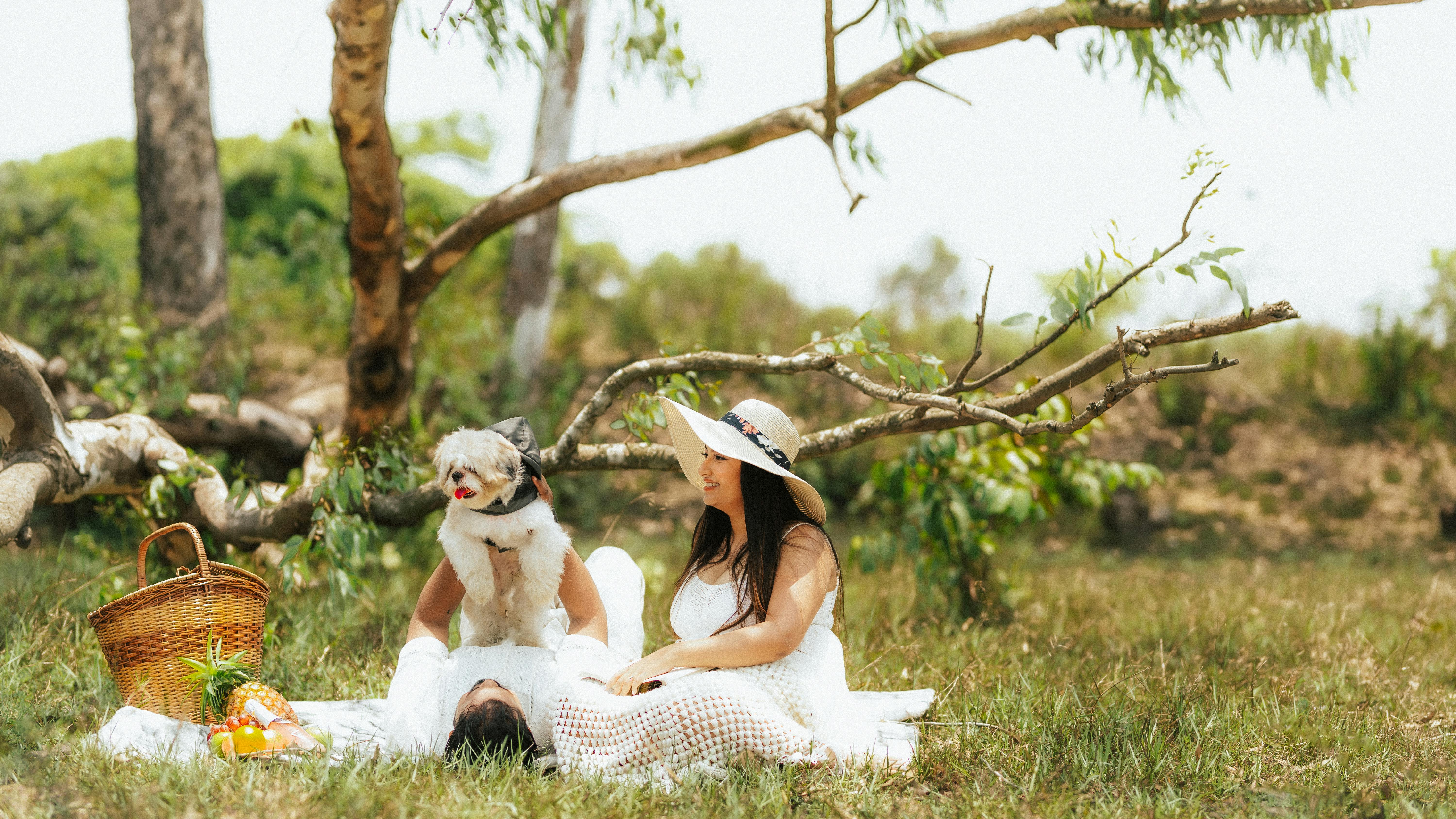 pet lifestyle pets lifestyle — Photo by Jorryn Morais on Pexels