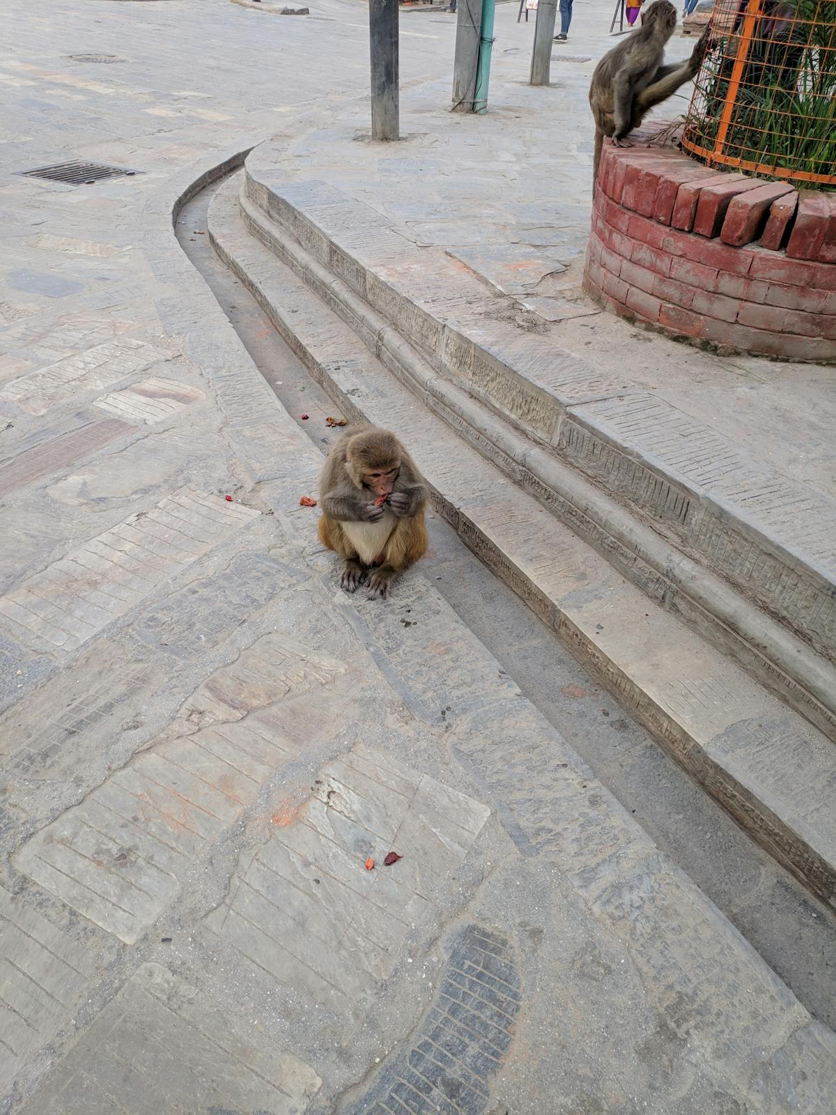 Cast iron pot on a stove with vegetables nearby ready for cooking