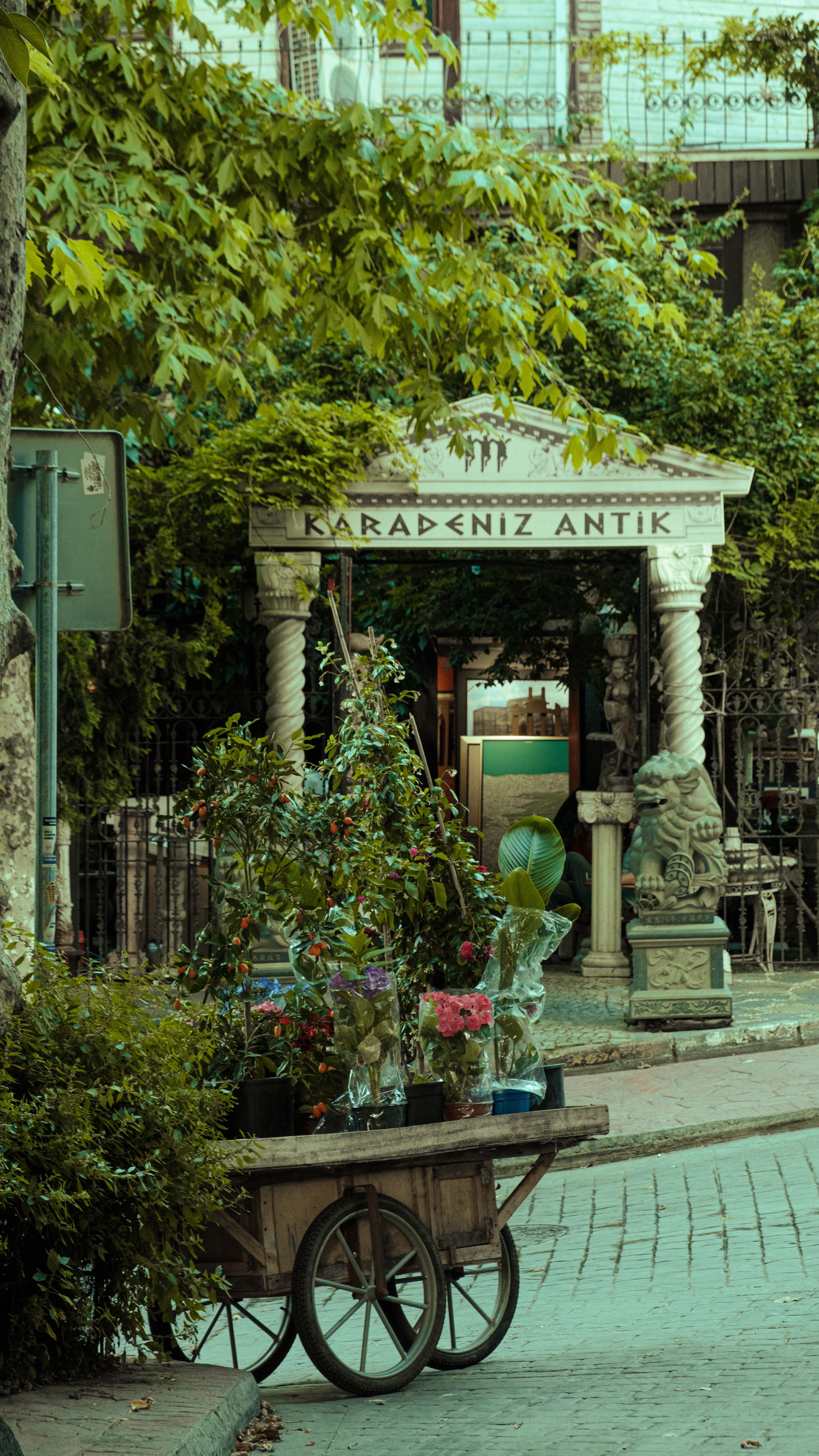 Antique shop entrance with a cart of plants in a lush outdoor setting.