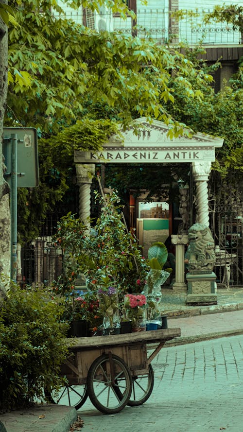 A street scene with a flower cart and a building