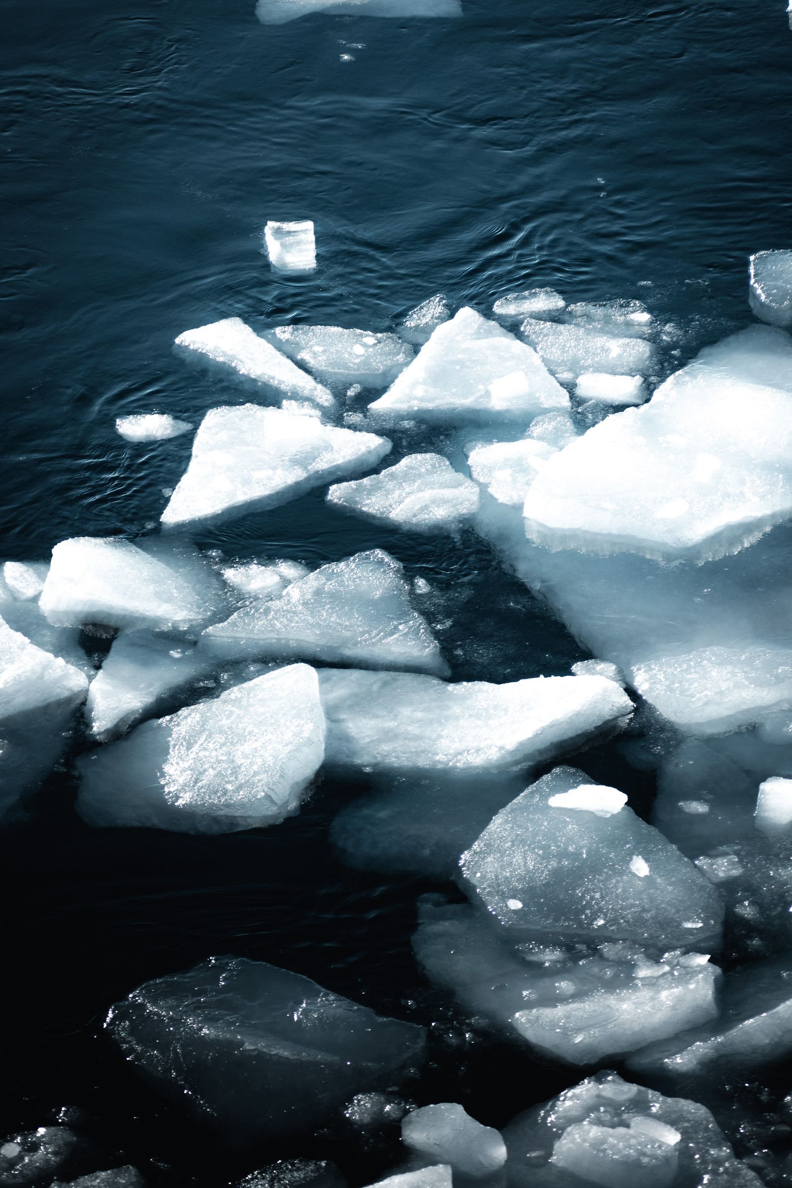 Melting Ice Photos, Download The BEST Free Melting Ice Stock Photos ...