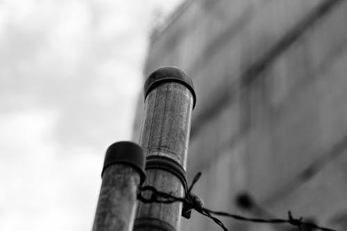 Free stock photo of metal fence, security bars, urban exploration