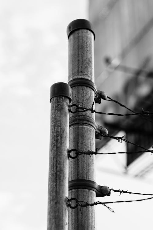 A black and white photo of a pole with barbed wire