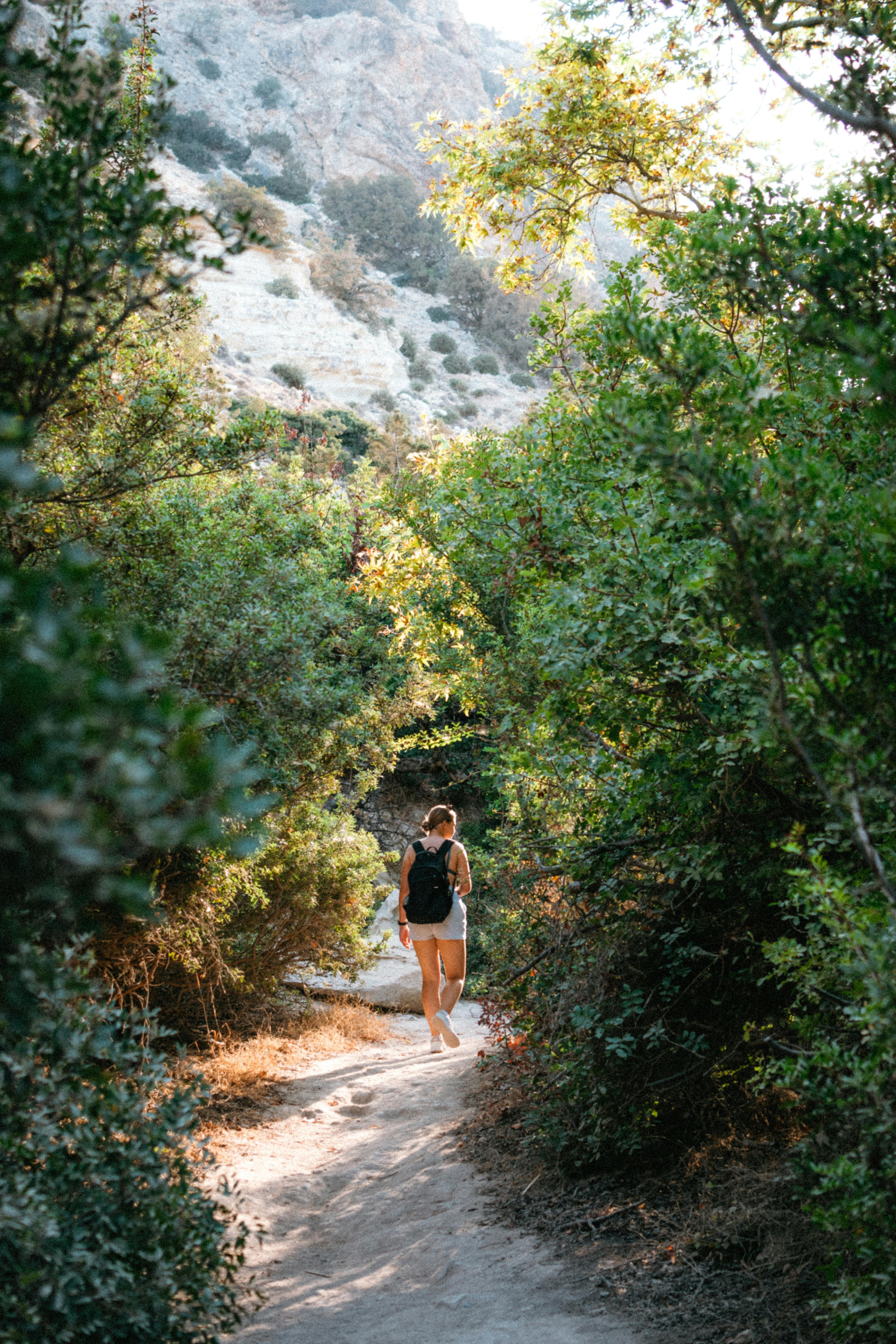 A woman with a backpack hikes along a forest trail on a sunny day, surrounded by lush greenery.
