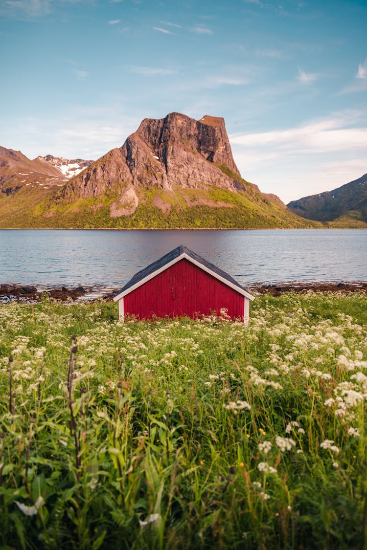 Photo Of Wooden Hut On Flower Field Near Lake