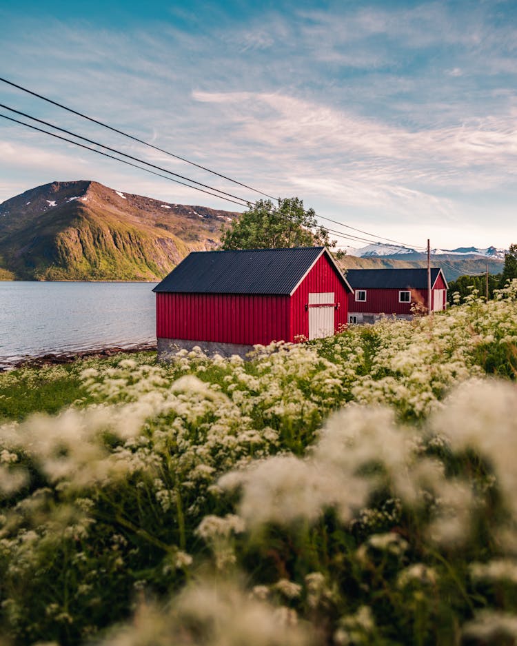 Red Barn Houses