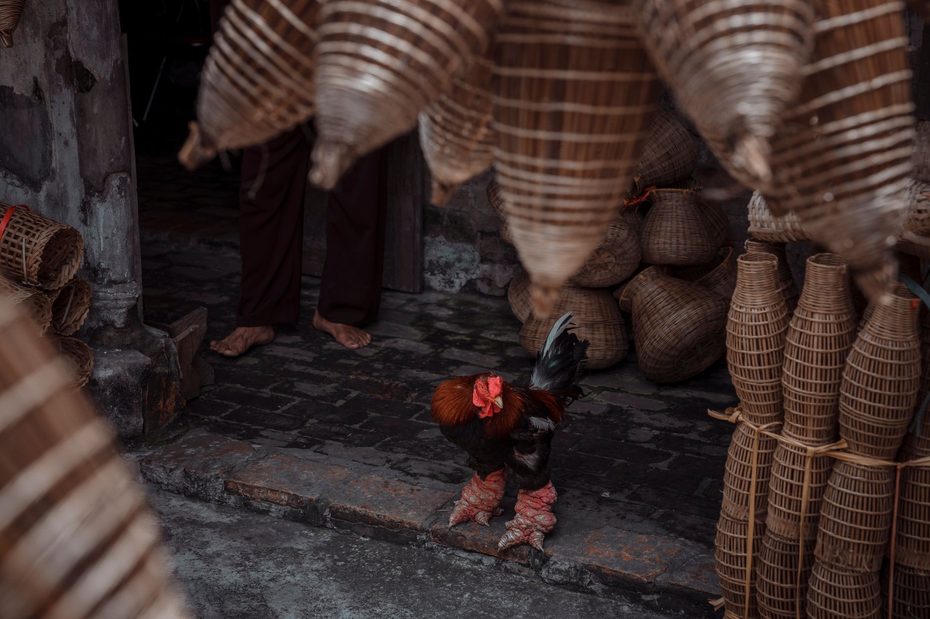 A Dong Tao chicken stands in a rustic market surrounded by fishing baskets, showcasing rural life.