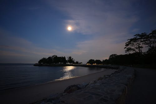 Fotobanka s bezplatnými fotkami na tému breakwall, breh, jahodový mesiac